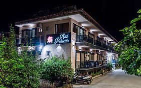 Hotel Petunia